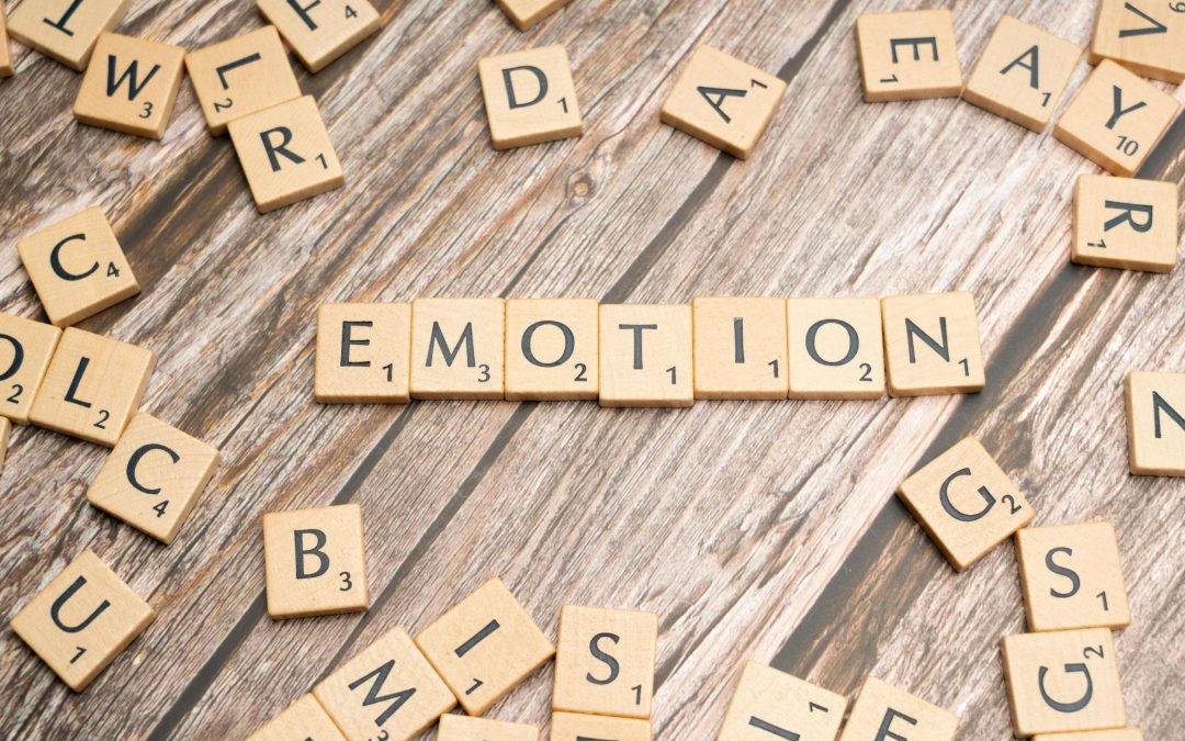 The language of emotions: key to conscious leadership